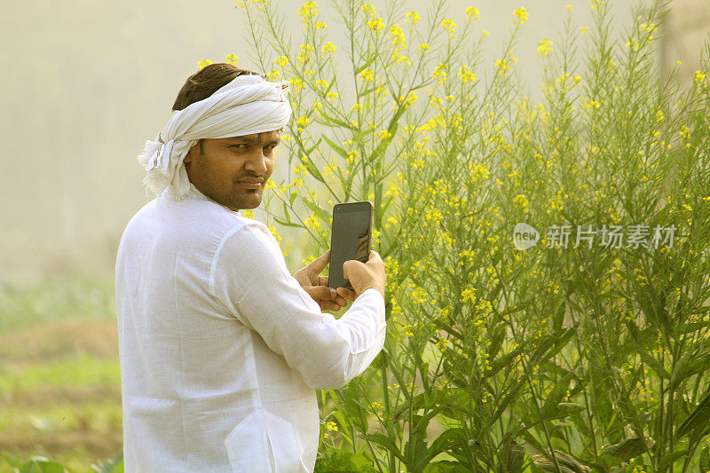 站在芥末田里，穿着印度农村传统服装kurta -睡衣在智能手机上交谈的印度老农。他在用智能手机聊天时看起来很开心。印度农村人